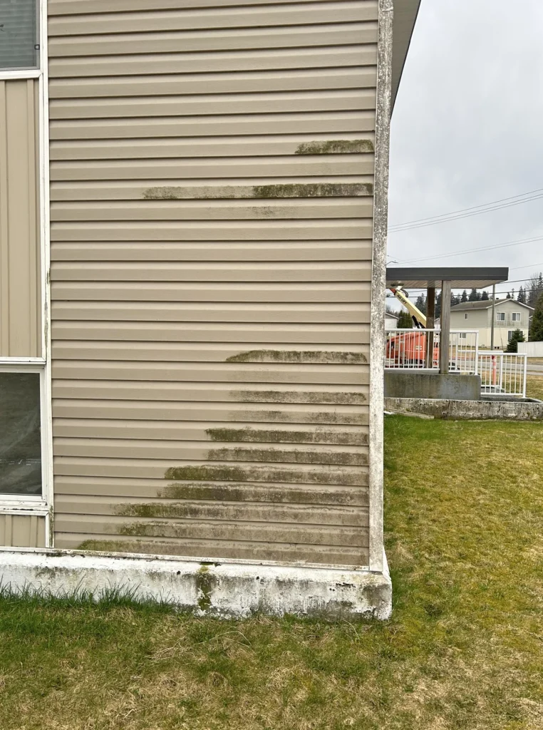 Building exterior showing siding before pressure washing and cleaning